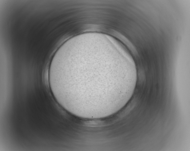 X0000101651290200808071107