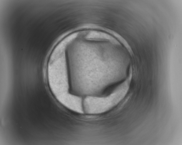 X0000101651295200808071107