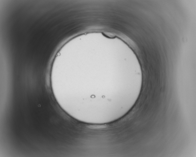X0000101651296200808071107