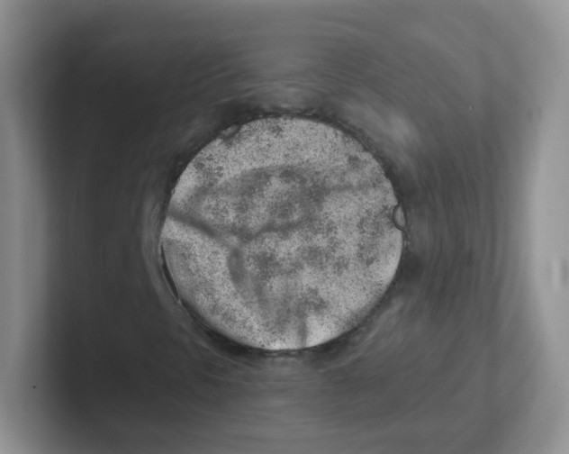 X0000101651297200808071106