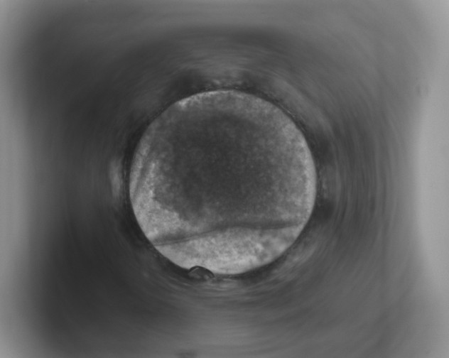X0000101651298200808071106