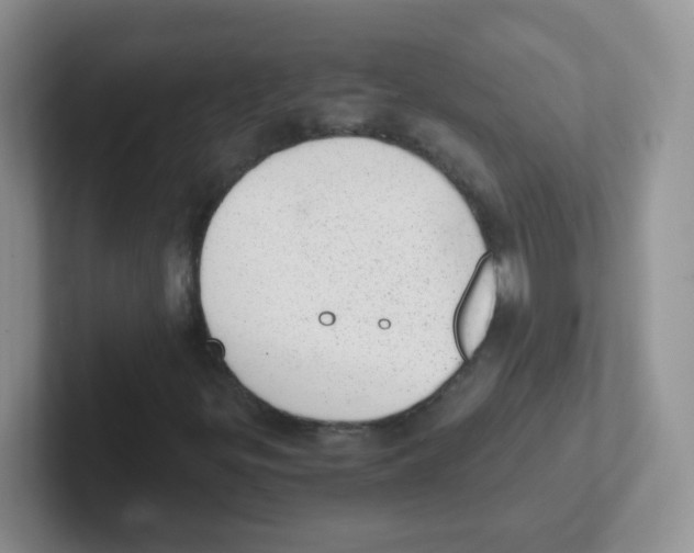 X0000101651299200808071106