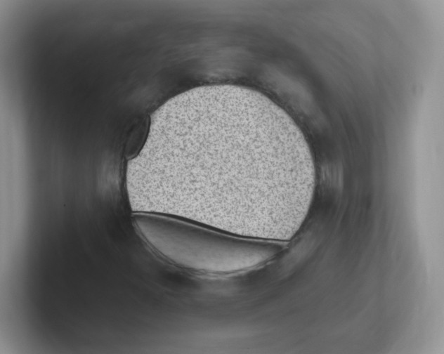 X0000101651300200808071106