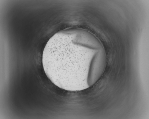 X0000101651301200808071106