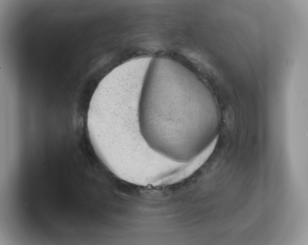 X0000101651302200808071106