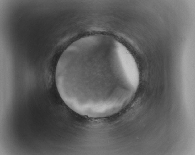 X0000101651303200808071106