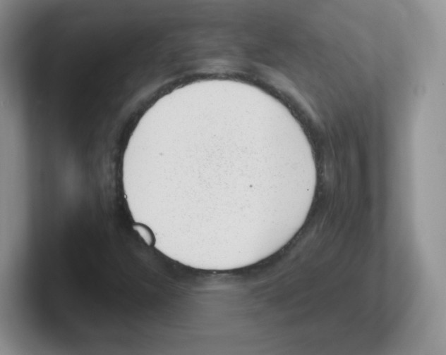 X0000101651304200808071106