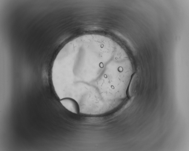 X0000101651305200808071106