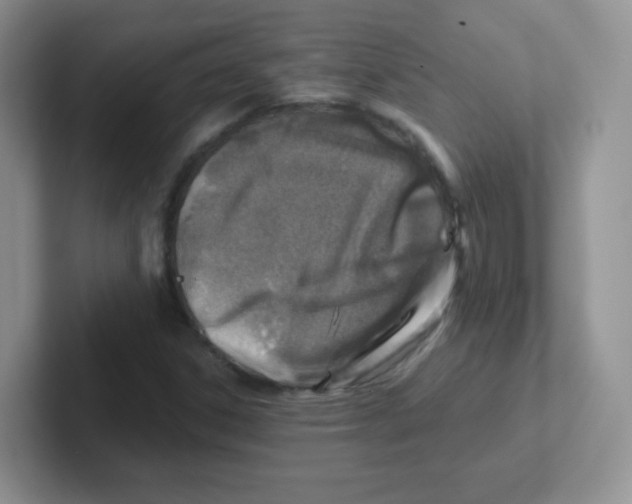 X0000101651306200808071106
