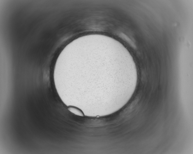 X0000101651307200808071106