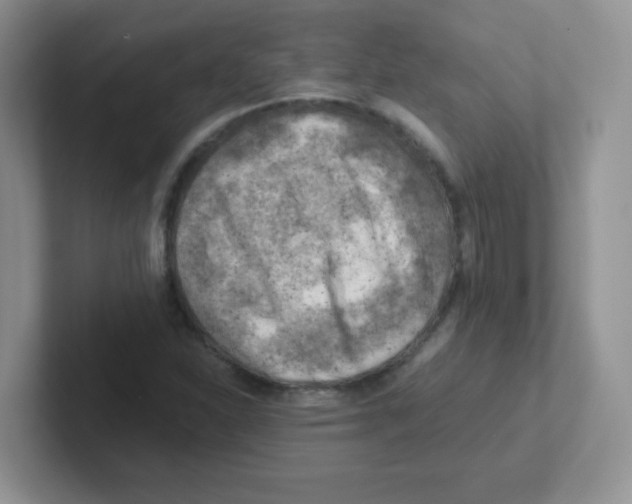X0000101651310200808071106