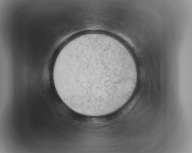 X0000101651311200808071106