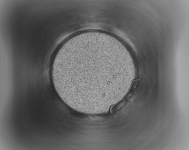 X0000101651312200808071106
