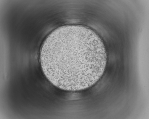 X0000101651314200808071106