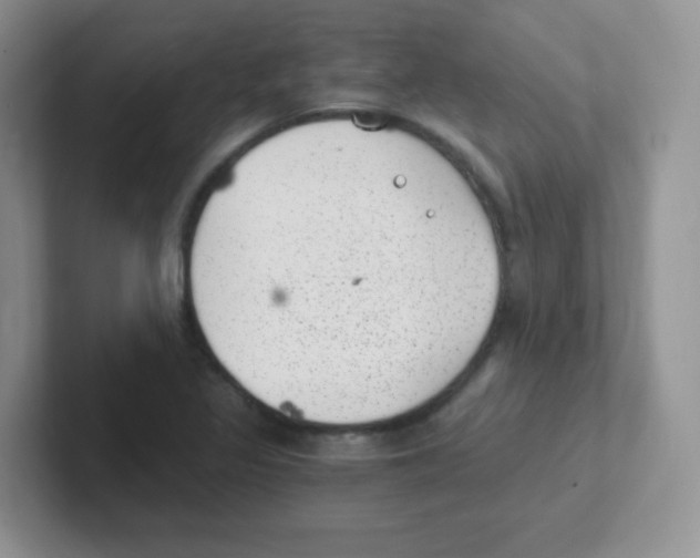 X0000101651317200808071106