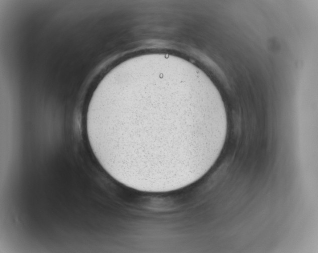 X0000101651318200808071106