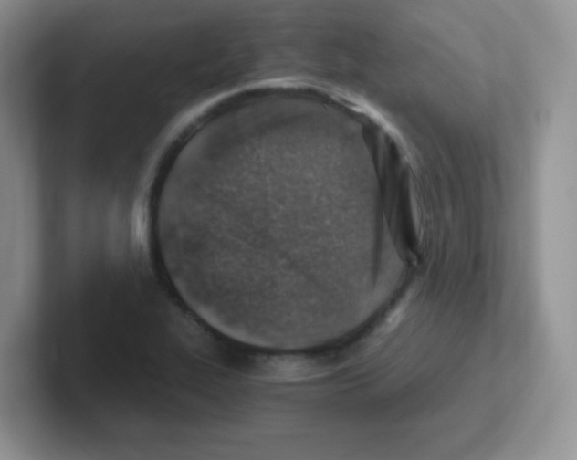 X0000101651319200808071106