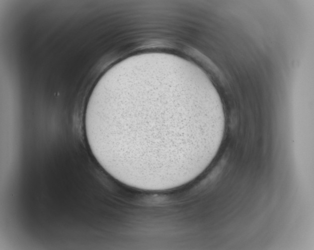 X0000101651321200808071106
