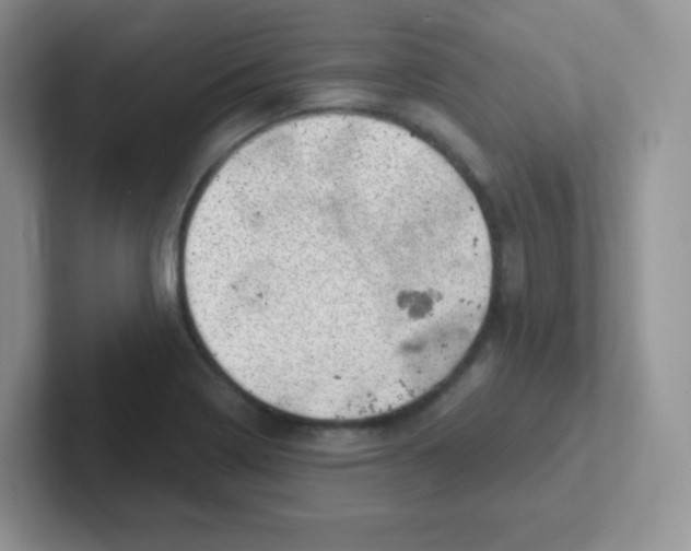 X0000101651322200808071106