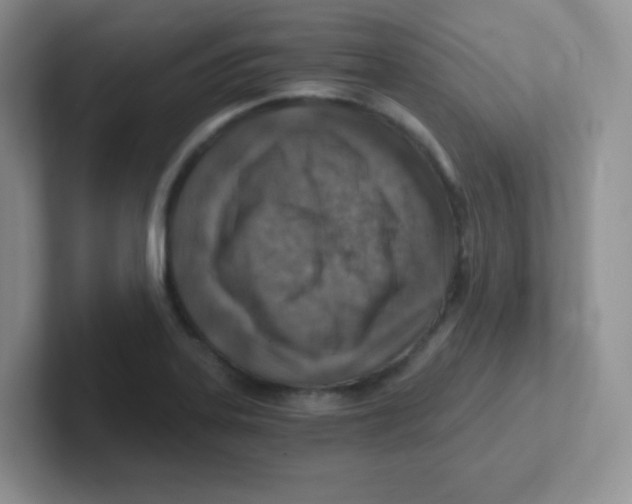 X0000101651323200808071106