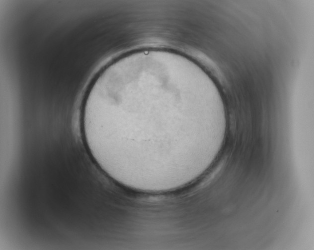 X0000101651326200808071106