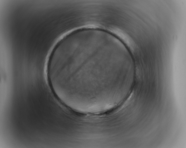X0000101651327200808071106