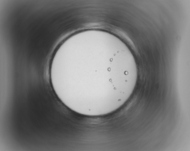 X0000101651328200808071106