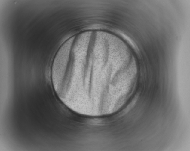 X0000101651329200808071106