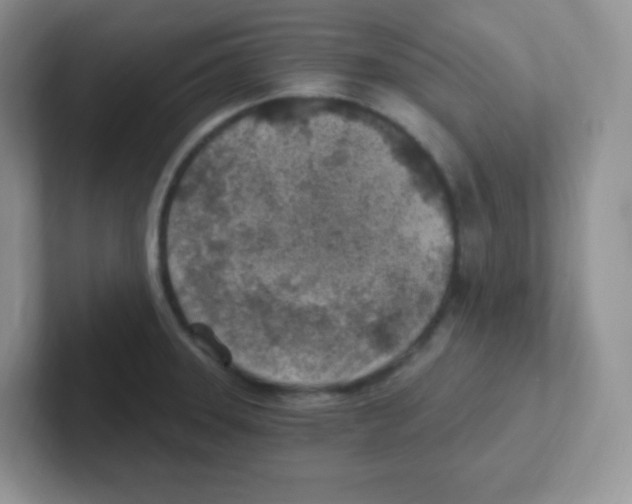 X0000101651331200808071106