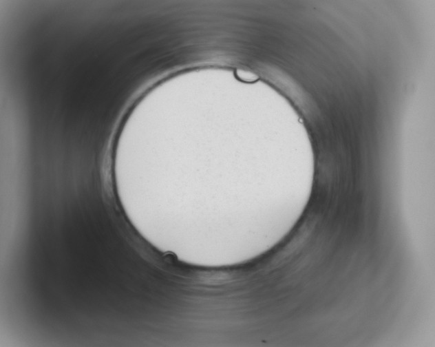 X0000101651332200808071106