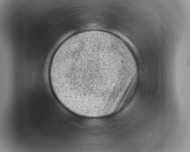 X0000101651333200808071106