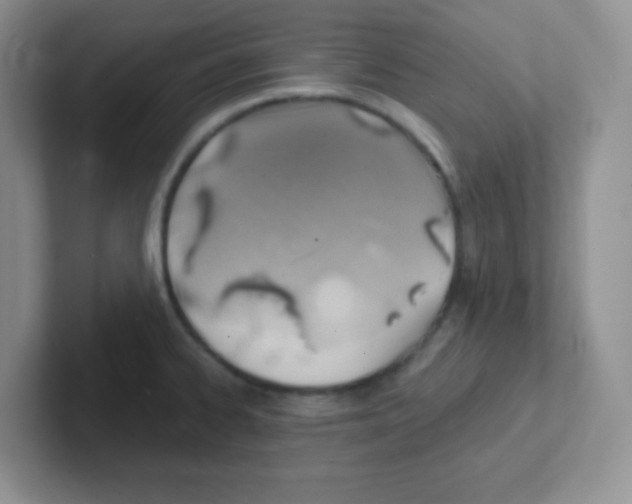 X0000101651334200808071106