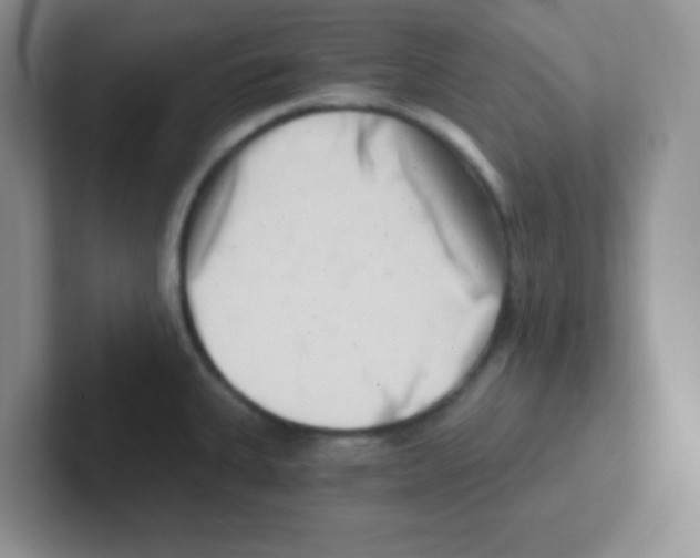 X0000101651335200808071106