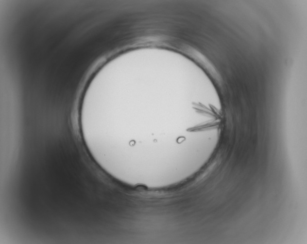 X0000101651336200808071106