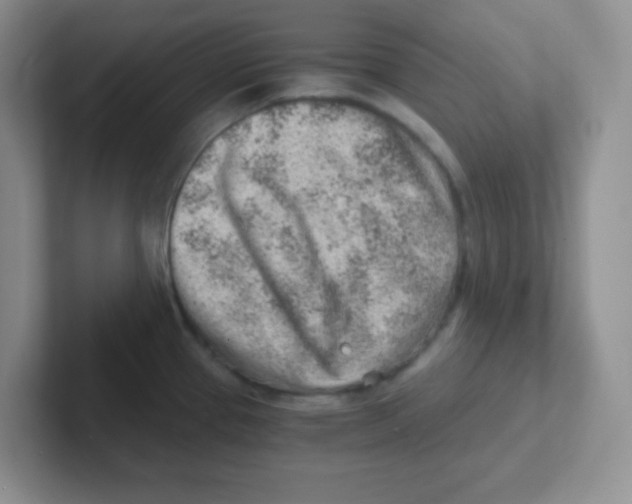 X0000101651337200808071106