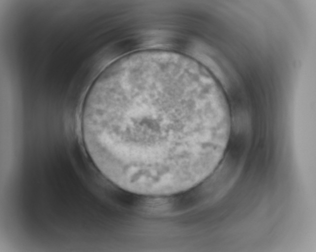 X0000101651338200808071106