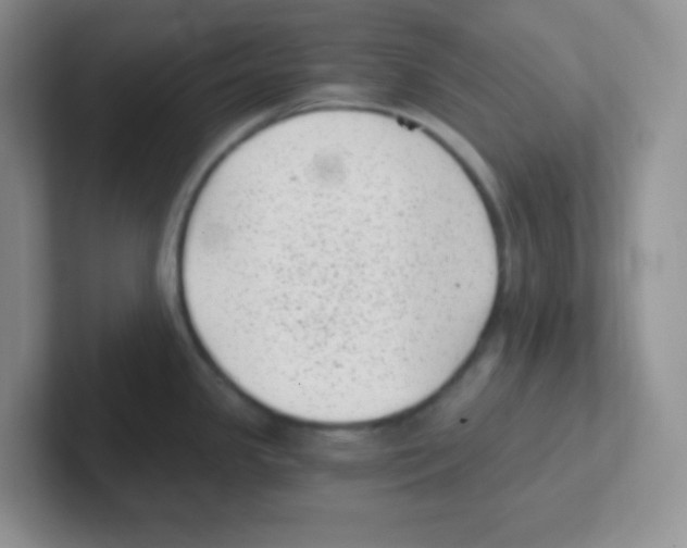 X0000101651341200808071106