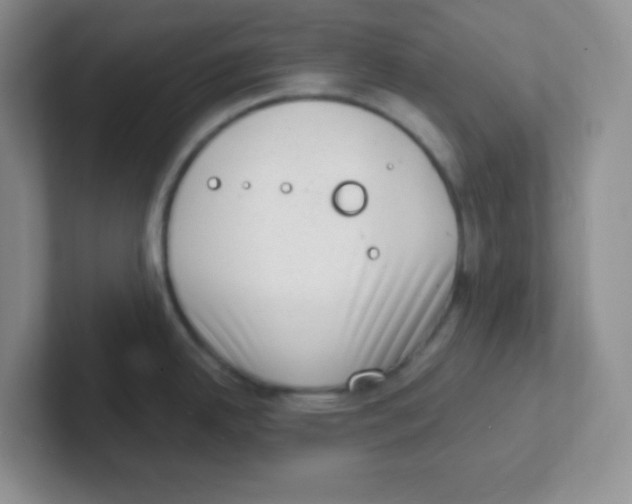 X0000101651342200808071106