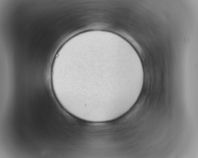 X0000101651343200808071107