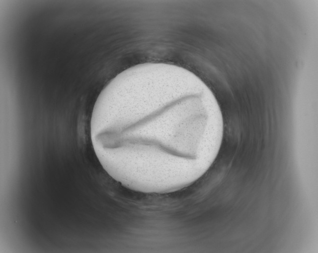 X0000101651346200808071106