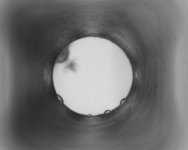 X0000101651348200808071106