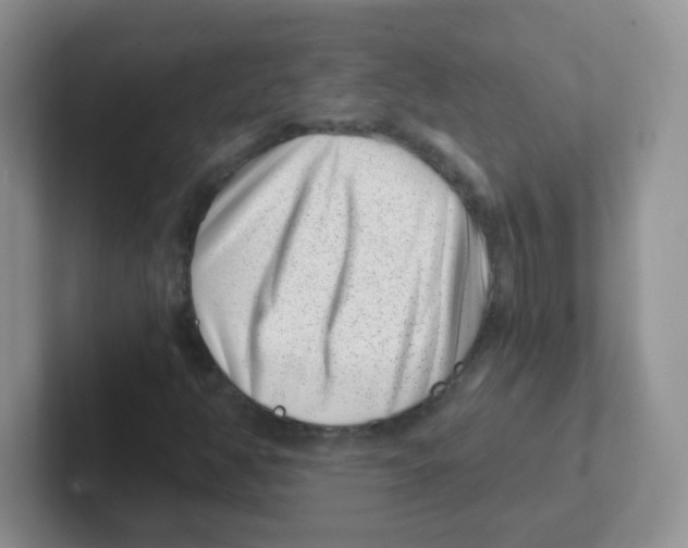 X0000101651350200808071106