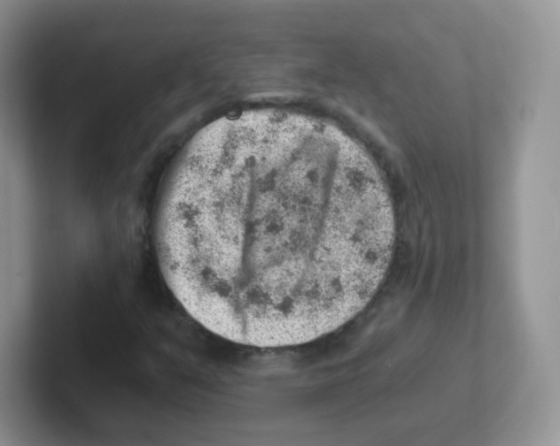 X0000101651351200808071106