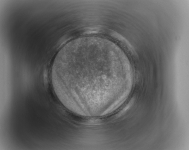X0000101651353200808071106