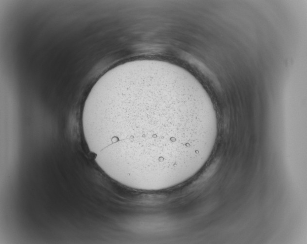 X0000101651354200808071106