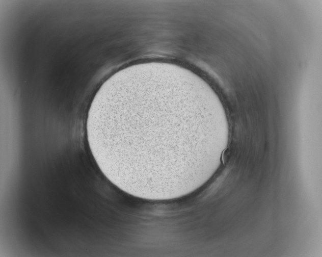 X0000101651355200808071106