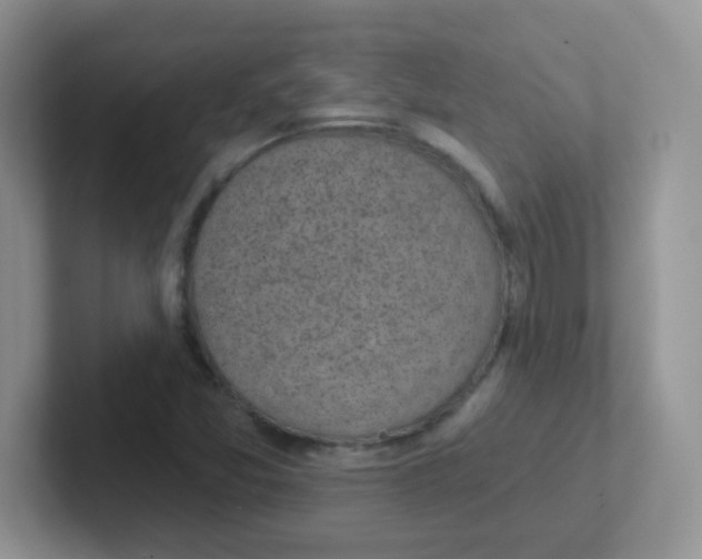 X0000101651357200808071106