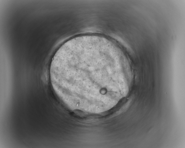 X0000101651358200808071106