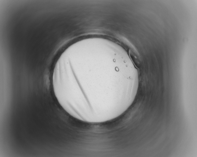 X0000101651360200808071106