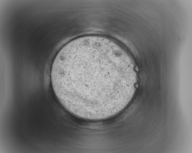 X0000101651363200808071106